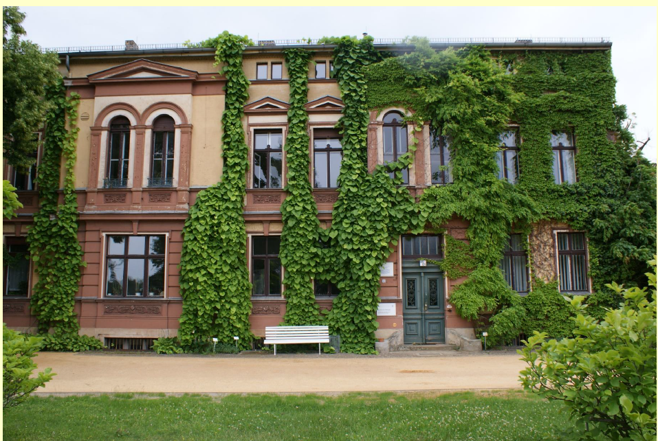 Kletterpflanzen Gebäudebegrünung Workshop 9