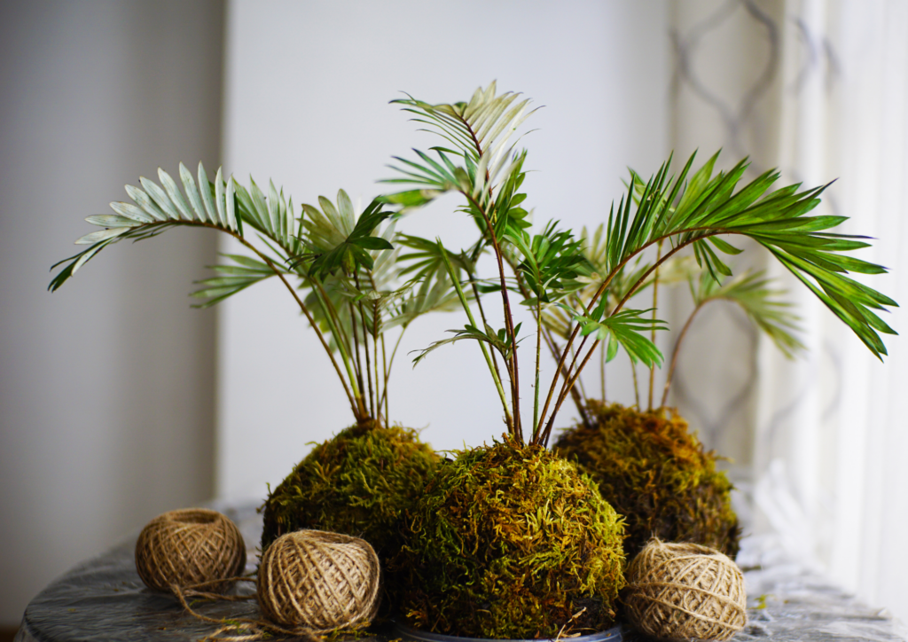 kokedama workshop kokedama levelupyourplants