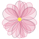 webnatur flower 80